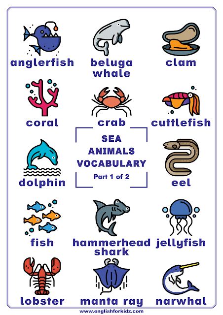 Animals Vocabulary Posters Vocabulary Posters Vocabulary Teach