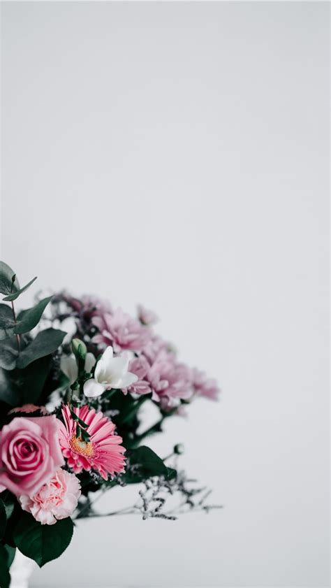 Flowers With Blank Space Iphone Wallpapers Free Download