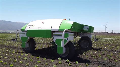 Dino Autonomous Robot Weed Control On Lettuces