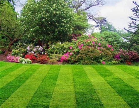 Perfect Green Lawns And Yard Landscaping Ideas In Spring And Summer