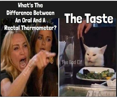 Funny Cat At Dinner Table Meme Cat Mania