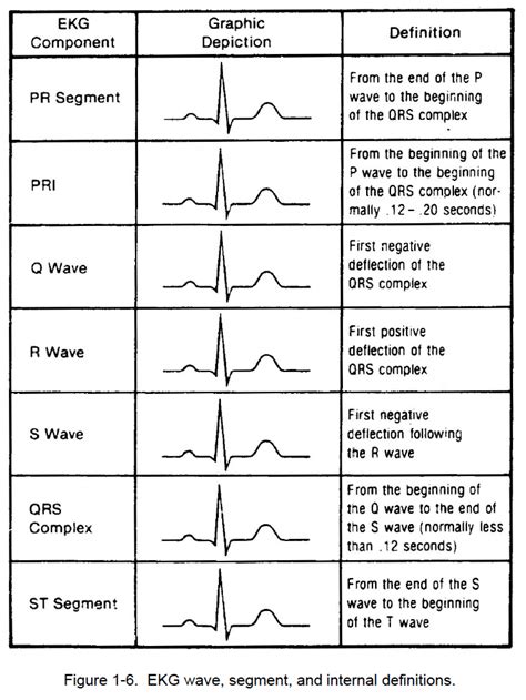 Figure 1 6 Ekg Wave Segment And Internal Definitions Cardiac