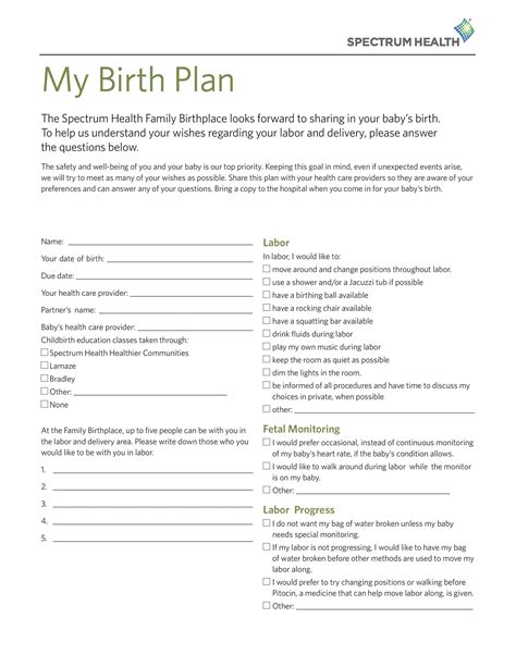 50 Birth Plan Examples Redlinesp