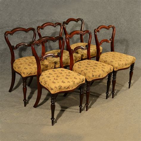Antique Dining Chairs Walnut Set Of 6 Fine Quality Antiques Atlas