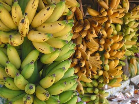 Banana Festival Celebrates The Abundance Of Bananas Travel To The
