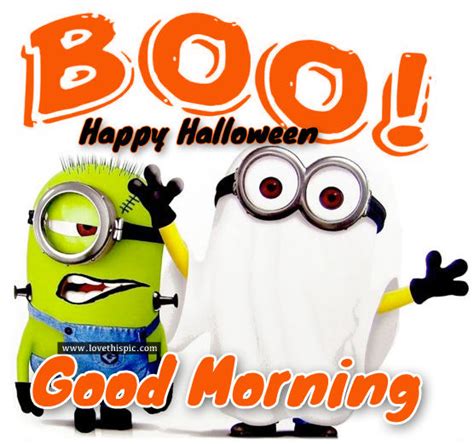 Boo Happy Halloween Good Morning Pictures Photos And Images For
