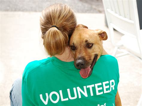 Other responsibilities listed on an animal shelter volunteer resumes include providing food and. Volunteer Positions « Humane Society of Catawba County