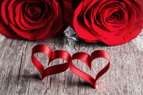 Love Heart Roses Petals Pair Red Romantic Valentines Day Hd