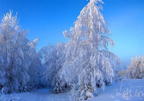 Seasons Winter Snow Nature Wallpapers Hd Desktop And Mobile