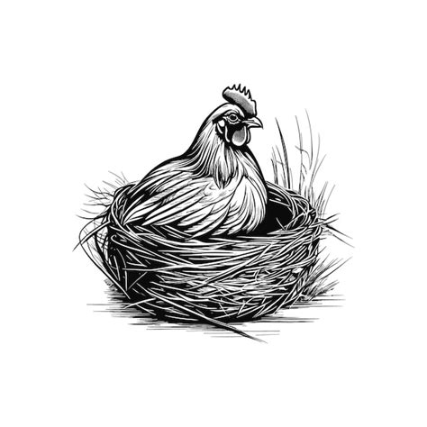 Premium Vector Vector Hen Sitting In The Nest Sketch Hand Drawn In
