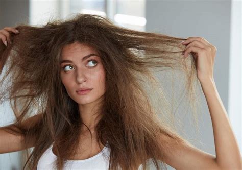 Want To Find Out The Best Hairstyles For Damaged Hair — Opinion About Hair