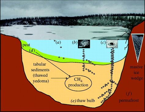 Methane Bubbling From Northern Lakes Present And Future Contributions