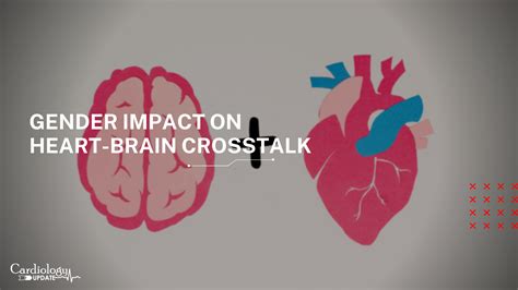 Sex Influences Heart Brain Crosstalk In Cardiac And Brain Diseases
