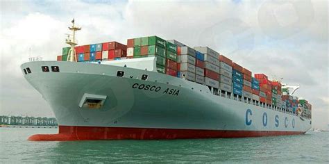 Cosco Shipping Holdings downgraded over trade fears | TradeWinds