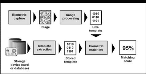 Biometrics Information Systems Of Fingerprint Iris Vein Palm Vein Hand