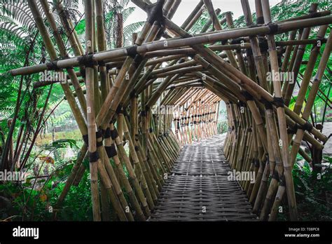 Bamboo Bridge In Lembang Indonesia Stock Photo Alamy