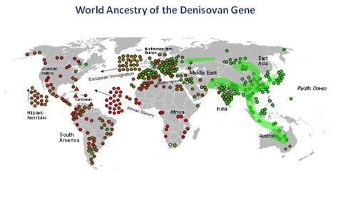 The Denisovan Gene Dna Consultants