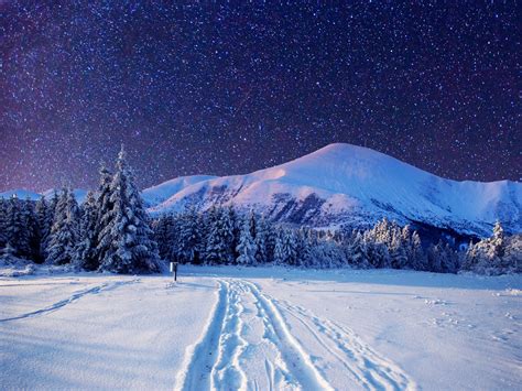Starry Night Sky Over Winter Forest 4k Ultra Hd Wallpaper Background