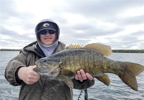 Best Smallmouth Bass Lures Green Bay Trophy Fishing