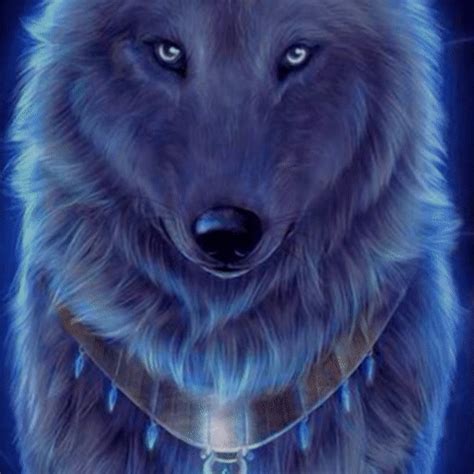 Profile Picture Late Night Wolf Pack Amino