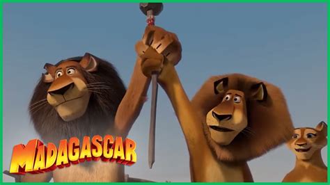 DreamWorks Madagascar em Português Alex salva o dia Madagascar
