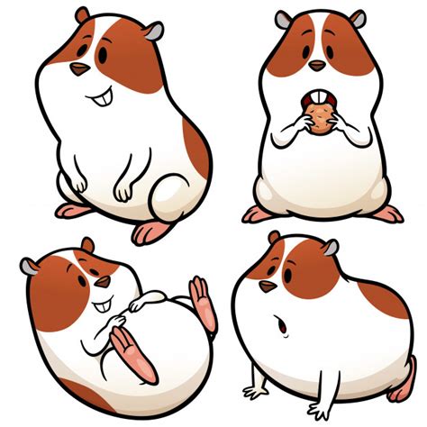 Cartoon Hamster Character Vector Premium Download