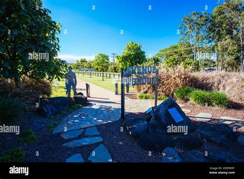 Yungaburra Avenue Of Honour In Australia Stock Photo Alamy