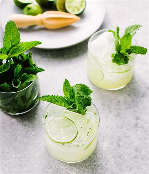Tequila is also a prebiotic, which is any food ingredients that promote the growth of good bacteria in the intestines. Tequila Lime Mojitarita Cocktail | Recipe | Healthy drinks recipes, Mint cocktails, Tequila