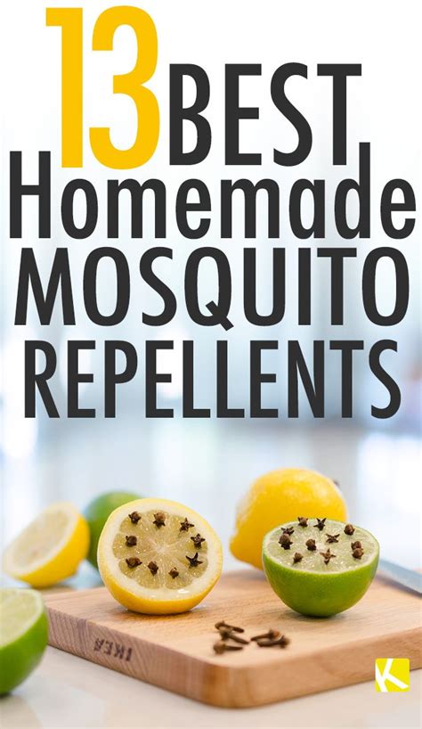 Out of the corner of your eye, you see something crawl across the sink. 13 Best Homemade Mosquito Repellents | Mosquito repellent homemade, Diy mosquito repellent ...