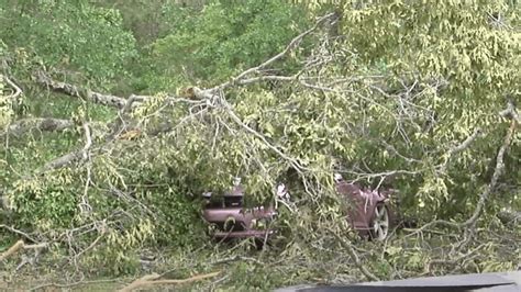 Woman Impaled By Tree During Sundays Storm Recovering At Usa Health