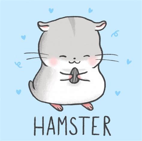 20 Cute And Easy Cartoon Hamster Drawing Ideas Chibi And