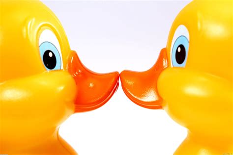 Rubber Ducky Wallpapers Wallpaper Cave