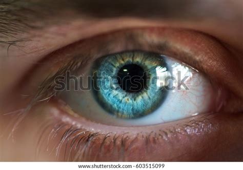 Beautiful Blue Male Eye Closeup Stock Photo Edit Now 603515099