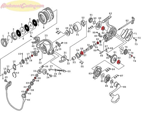 Sch Ma Daiwa Certate Pe Roulementcasting Com