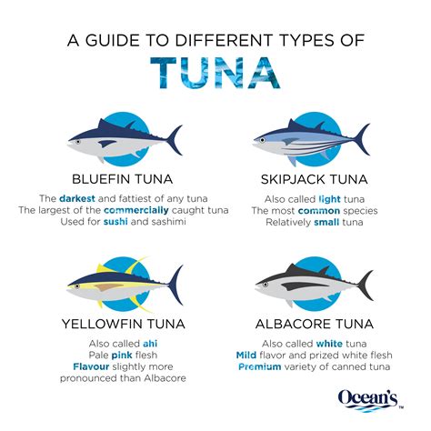 A Guide To Different Types Of Tuna Oceans