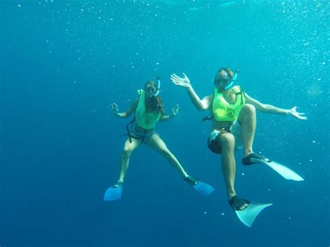 Snorkel Picture Of De Palm Island Aruba Tripadvisor