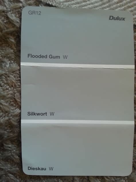 Silkwort Dieskau Dulux Paint Colours Choosing A Grey Wall Is Proving