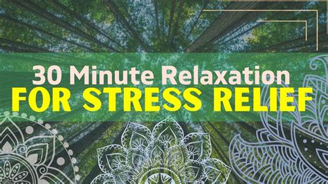30 Minute Relaxing Music Stress Relief Youtube