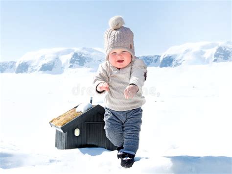 Baby Boy In The Snow Stock Photo Image Of Person Cute 73010512