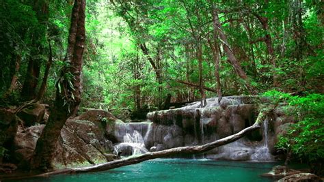 Wilderness Of Tropical Rainforest Waterfall Natural Pond