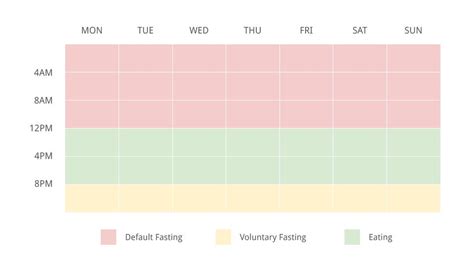 The Mindful Productivity Guide To Intermittent Fasting Ness Labs