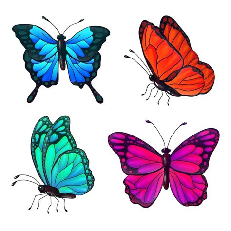Conjunto De Coloridas Mariposas Realistas Ilustración Vectorial