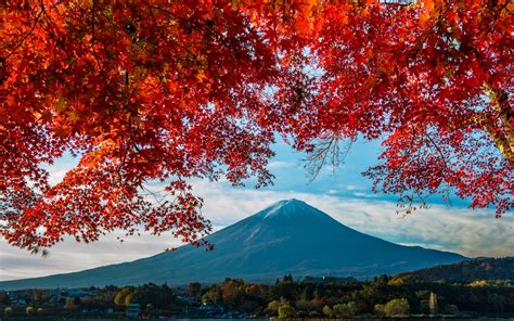 Wallpaper Fuji Mount Trees Red Leaves Autumn Japan 1920x1440 Hd