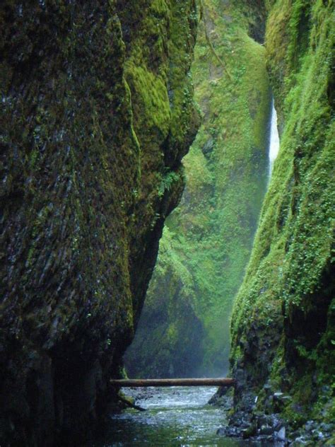 Oneonta Gorge Hike And Swim Near Cascade Locks Oregon Free Arenas