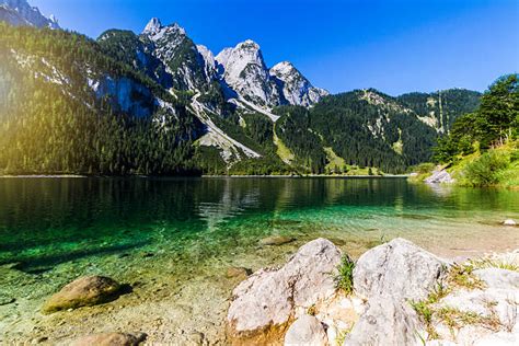 Gosausee Nature Reserve Austria Stock Photos Pictures And Royalty Free