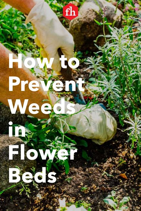 How To Prevent Weeds In Flower Beds Artofit