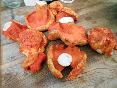 Mise En Place Beer Battered Lobster Mushroom Confessional