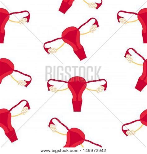 Vagina Afbeeldingen Illustraties Vectoren Vagina Stockfotos En