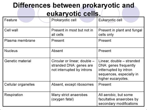 Components Of Prokaryotic Cells Prokaryotic Cells Vs Eukaryotic