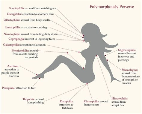 73 Best Sexology Human Sexuality Images On Pinterest Certificate